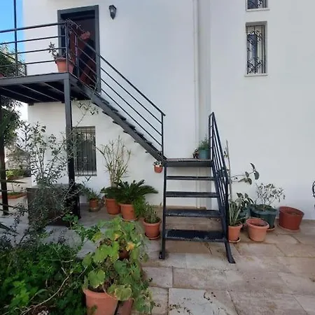 Cozy Flat In A Great Location